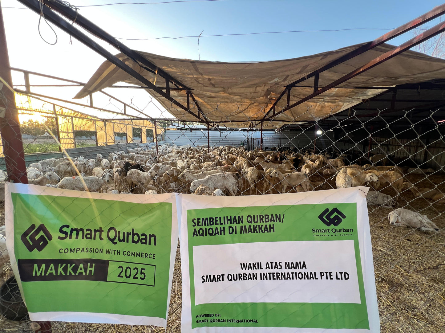 Ubaidillah - Qurban 2026